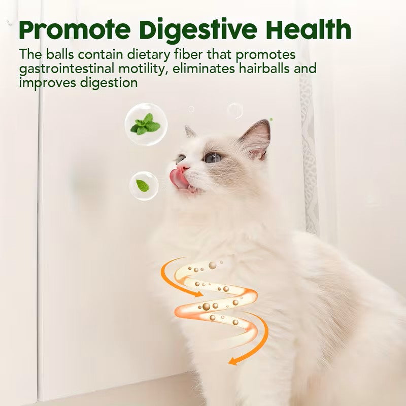 Catnip Balls for Play & Teething
