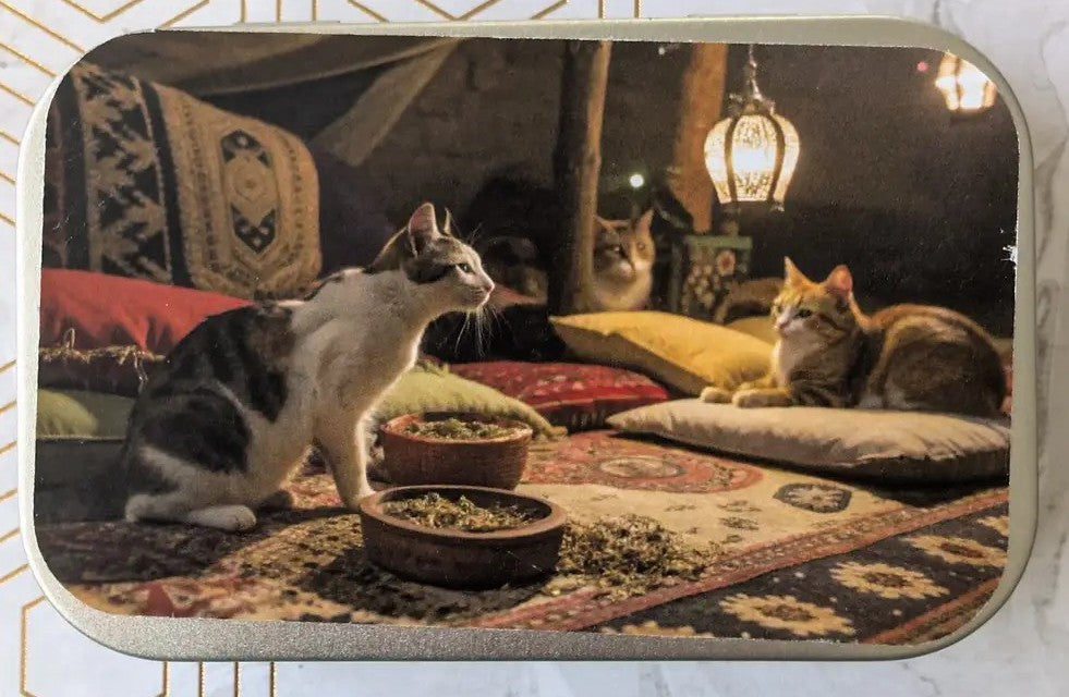 Catnip Tin with Freshly Sealed Catnip