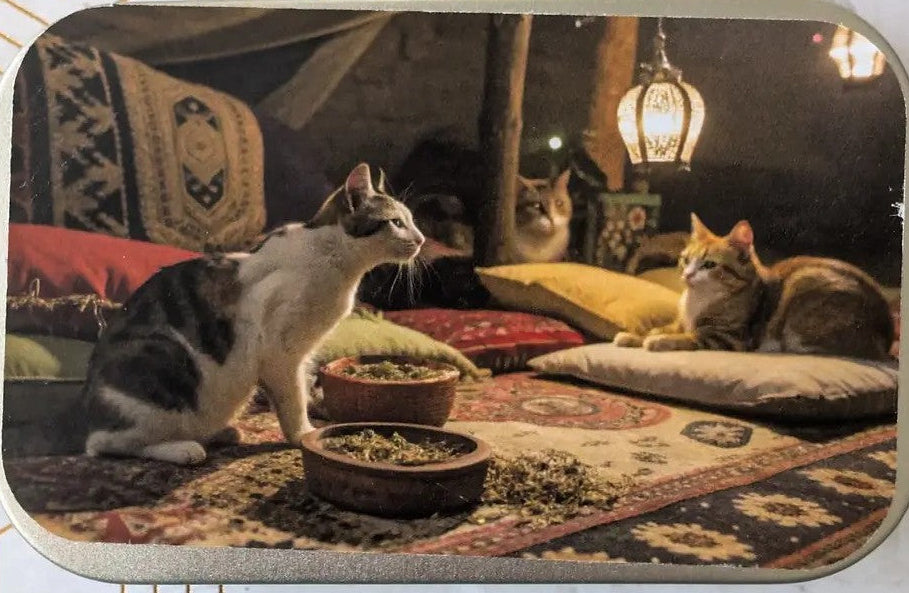 A rectangular metal tin with rounded corners, featuring a printed illustration of three cats in a cozy, warmly lit traditional room with patterned rugs and cushions. The tin is photographed on a light marble-patterned surface.