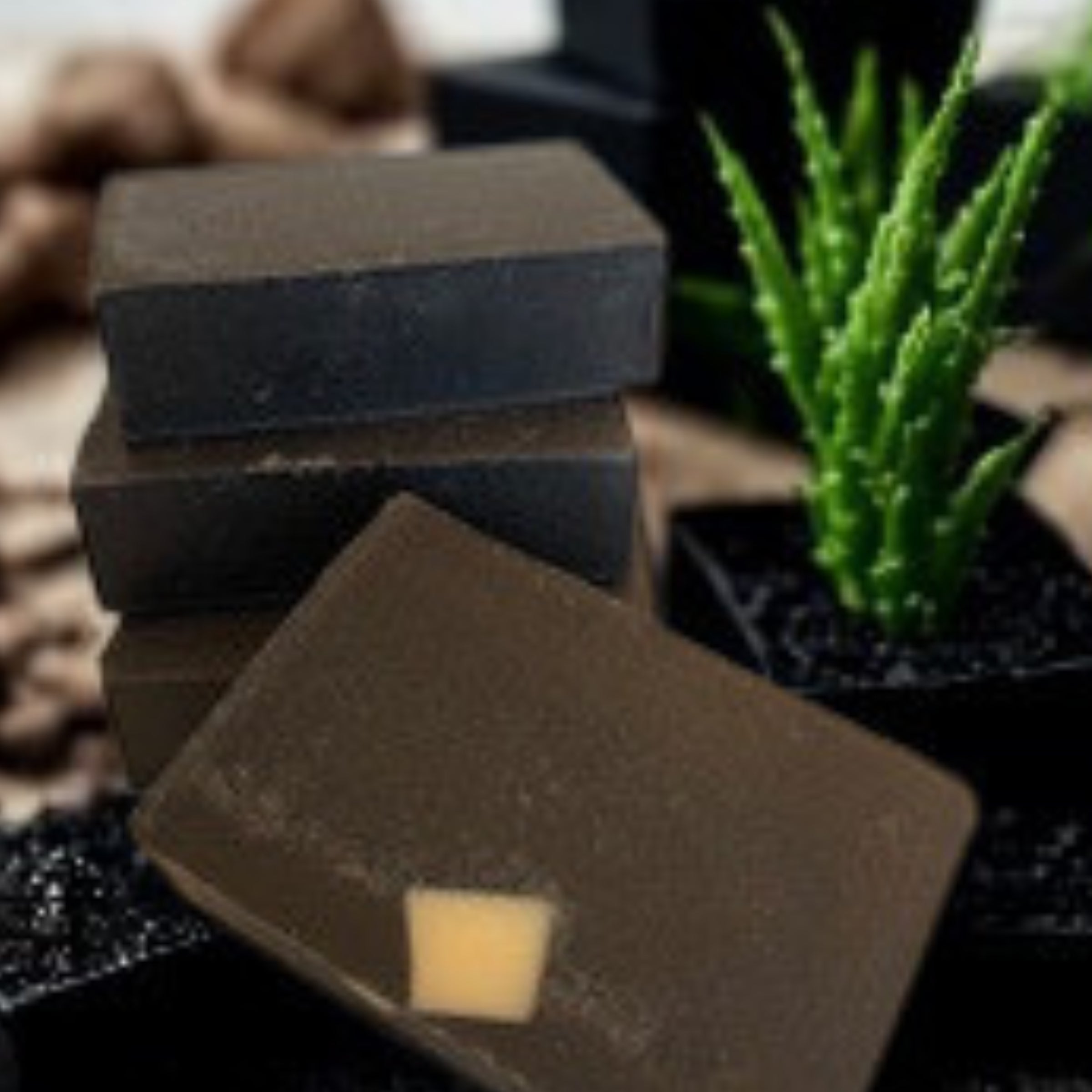 Gift Wrapped Charcoal Aloe Soap Bar & Tray