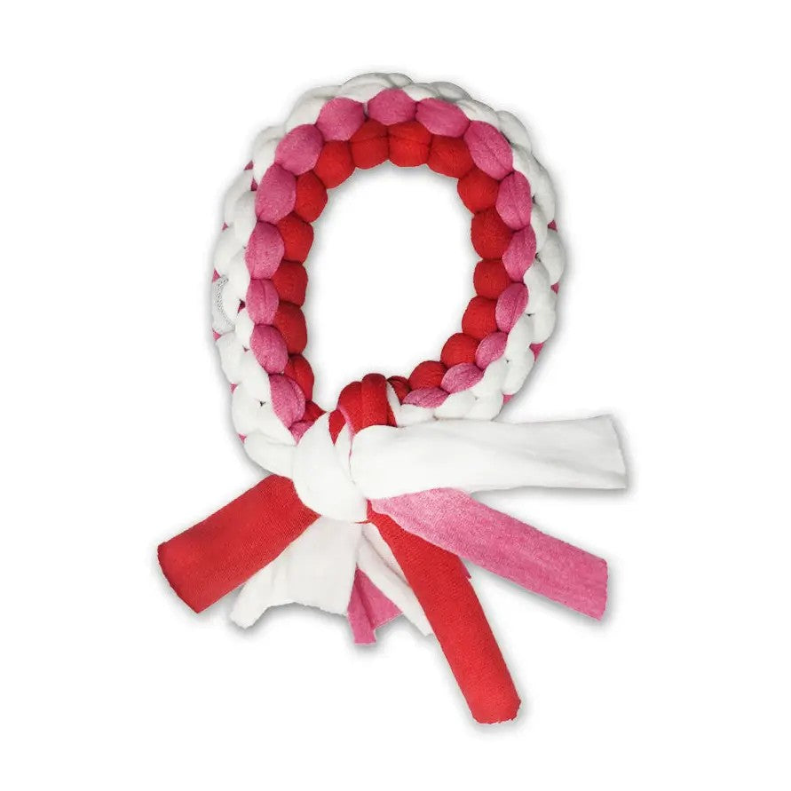 Dog Ring Toy from PawsAbility