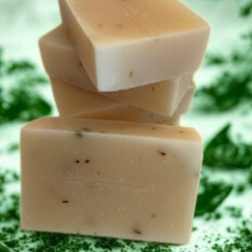 Eucalyptus Aloe Artisan Soap Bar