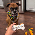 DOG TREAT HAPPY BIRTHDAY