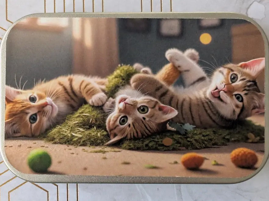 Catnip Tin with Freshly Sealed Catnip