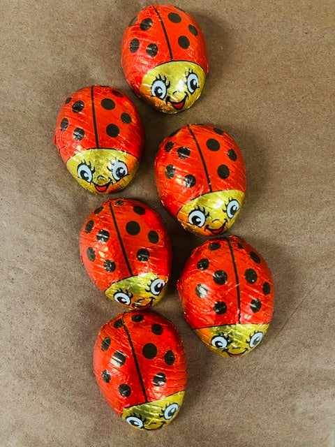 Ladybug Milk Chocolates
