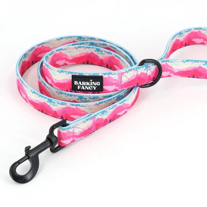 Mountainscape Design Dog Leash 5'X 3/4"