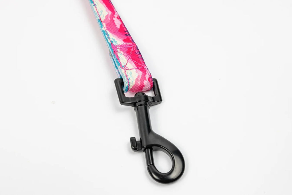 Mountainscape Design Dog Leash 5'X 3/4"