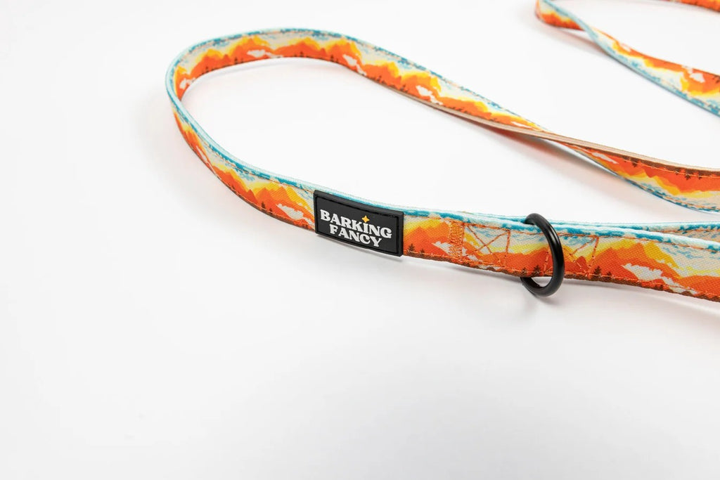 Mountainscape Design Dog Leash 5'X 3/4"