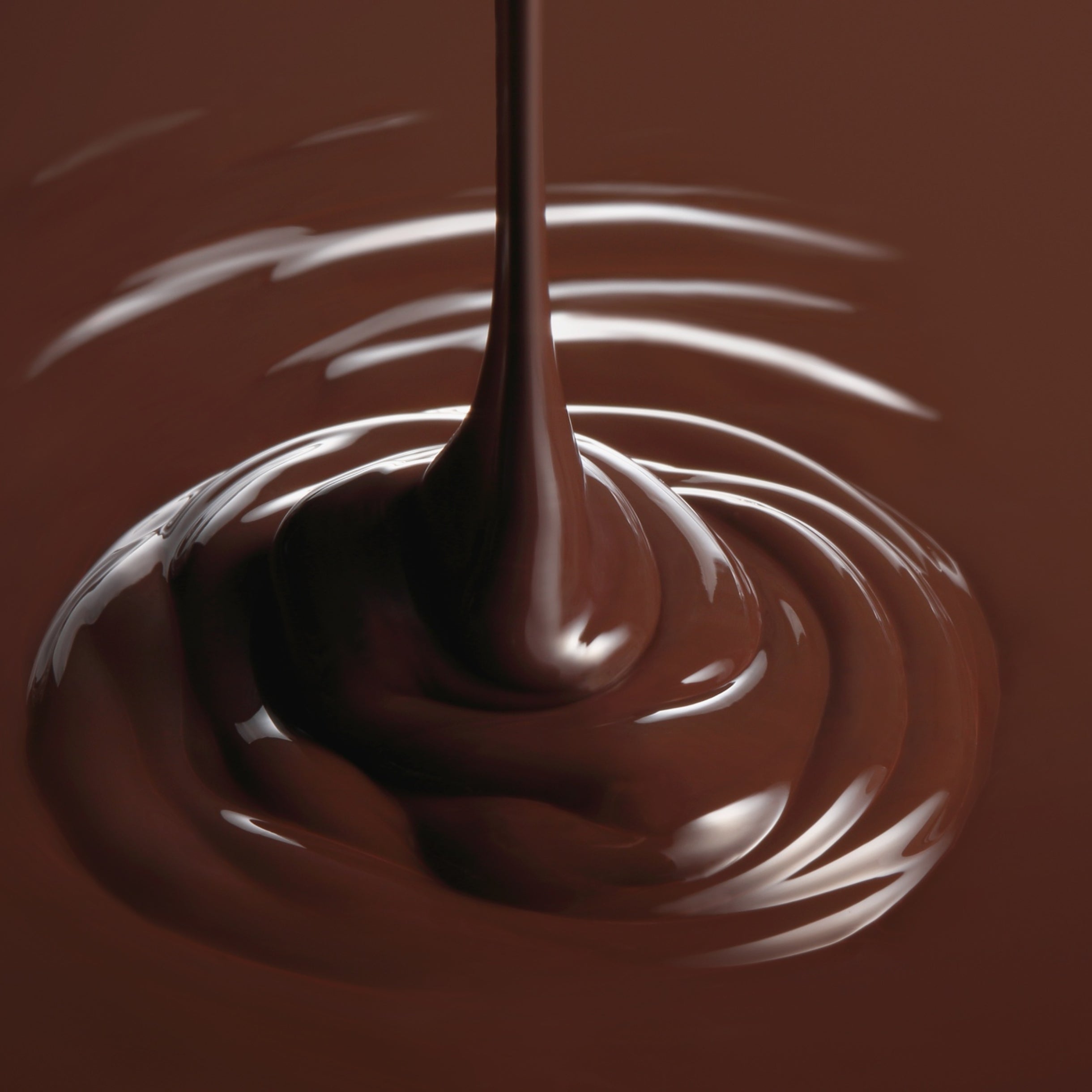 Dark Chocolate Vanilla Caramel - Half Pound