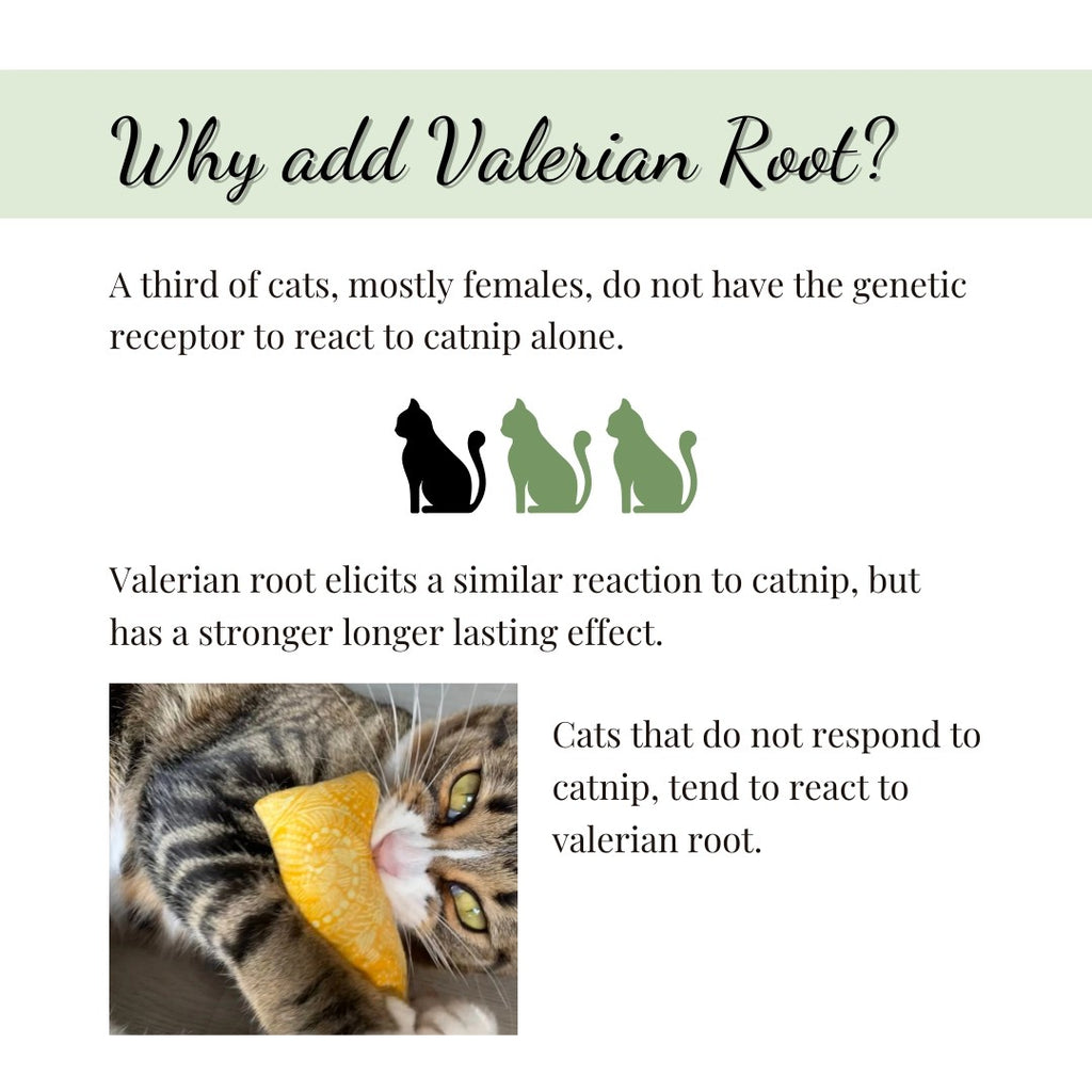 Catnip and Valerian Root Toy